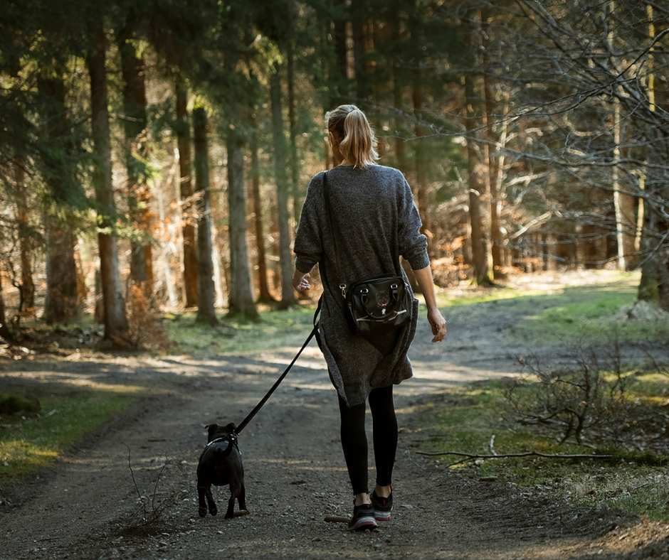 dogwalk